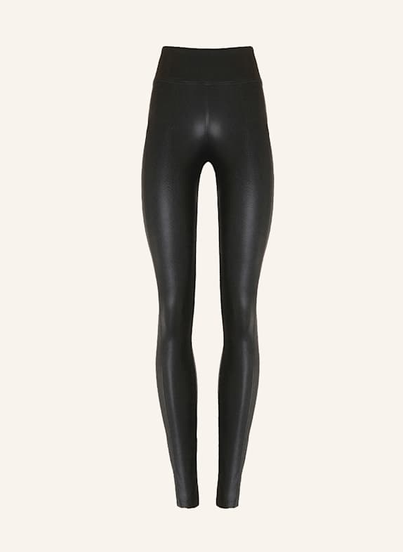 Wolford Leggings RTW PYTHON LEGGINGS SCHWARZ