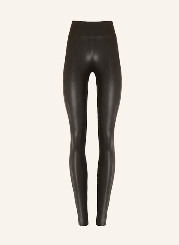 Wolford Leggings RTW PYTHON LEGGINGS BRAUN
