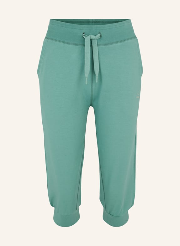 VENICE BEACH 3/4-Hose VB Journey GRÜN