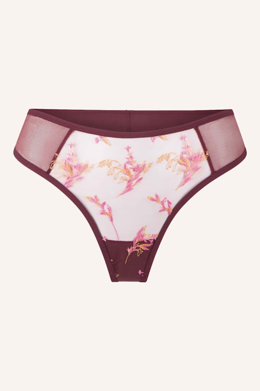 LINGADORE String ROT