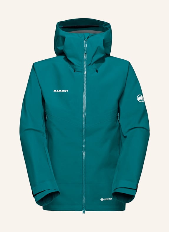 MAMMUT Crater IV HS Hooded Jacket Men GRÜN