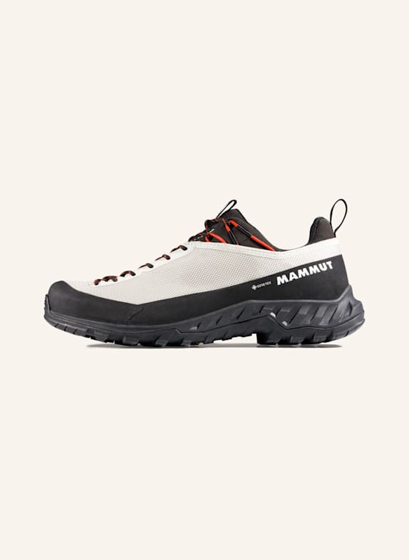 MAMMUT Alnasca IV Low GTX Women GRAU