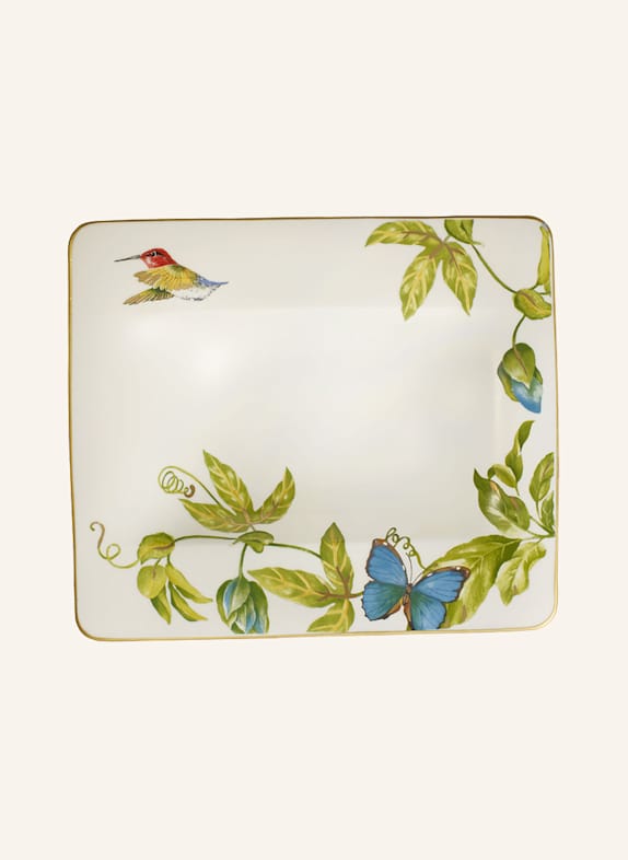 Villeroy & Boch Suppenteller AMAZONIA GELB/ GRÜN/ BLAU/ ROT