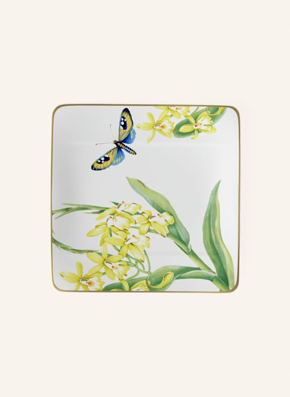 Villeroy & Boch Frühstücks-/Dessertteller AMAZONIA GELB/ GRÜN/ BLAU/ ROT