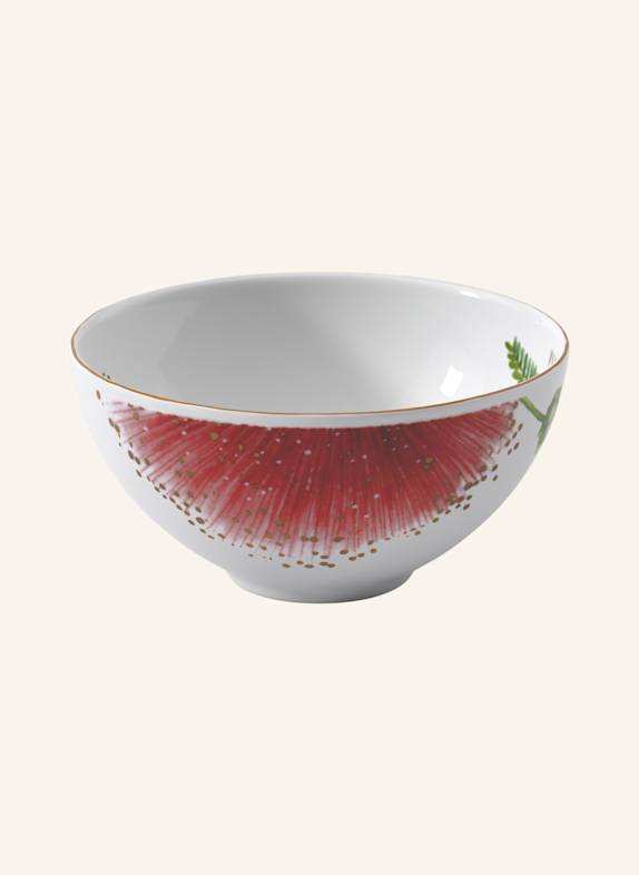 Villeroy & Boch Schälchen AMAZONIA GELB/ GRÜN/ BLAU/ ROT