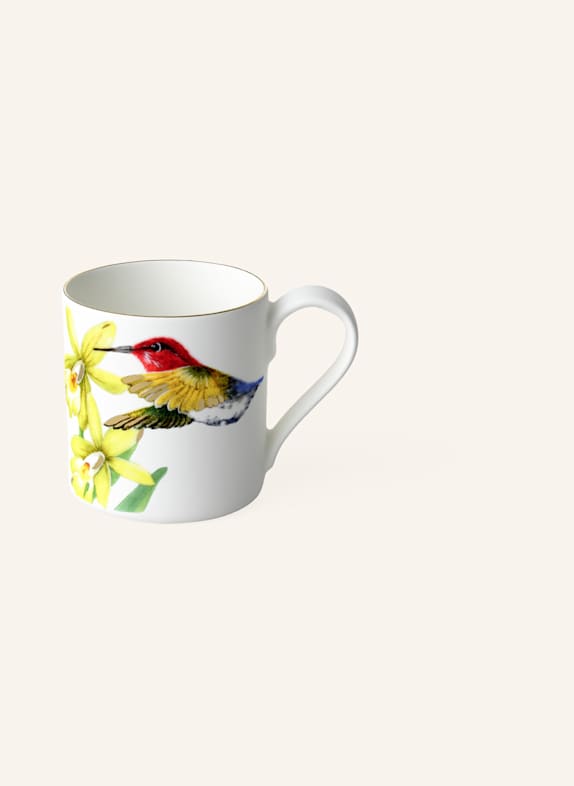 Villeroy & Boch Espressotasse AMAZONIA GELB/ GRÜN/ BLAU/ ROT