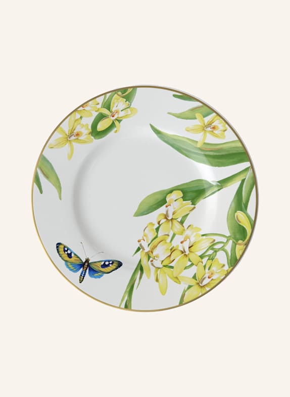 Villeroy & Boch Frühstücks-/Dessertteller AMAZONIA GELB/ GRÜN/ BLAU/ ROT
