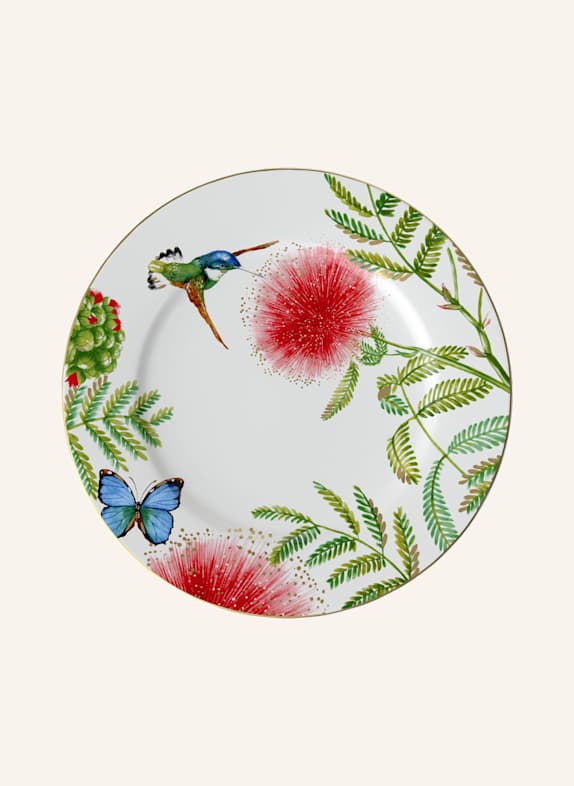 Villeroy & Boch Gourmetteller AMAZONIA GELB/ GRÜN/ BLAU/ ROT