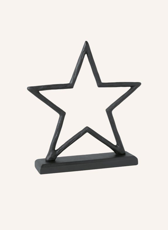 Villeroy & Boch Stern groß BLACK XMAS