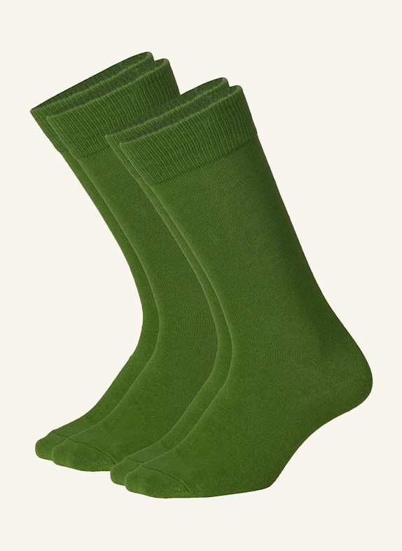 DillySocks Socken D-COMPOSE 2ER SET GRÜN