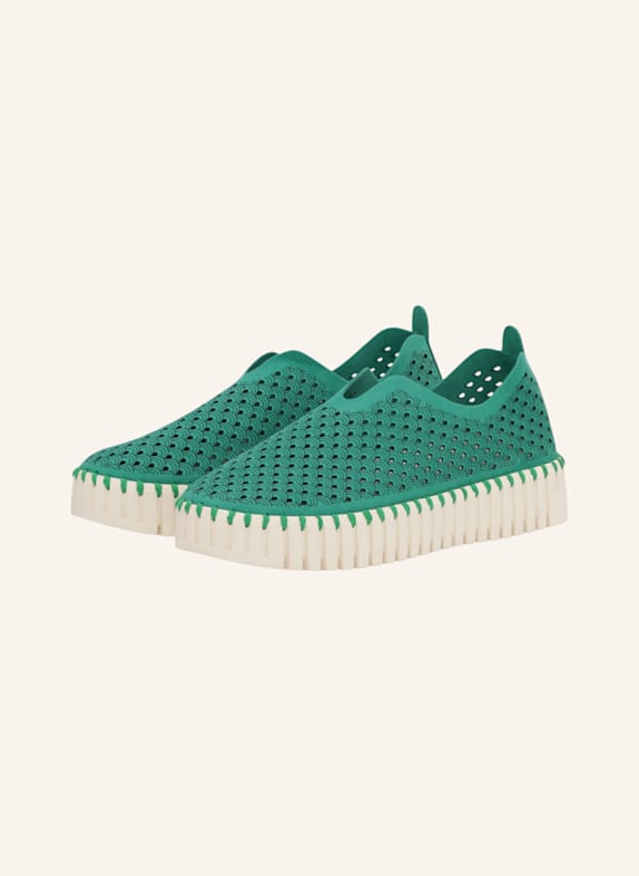ILSE JACOBSEN Sneaker TULIP3373 TÜRKIS
