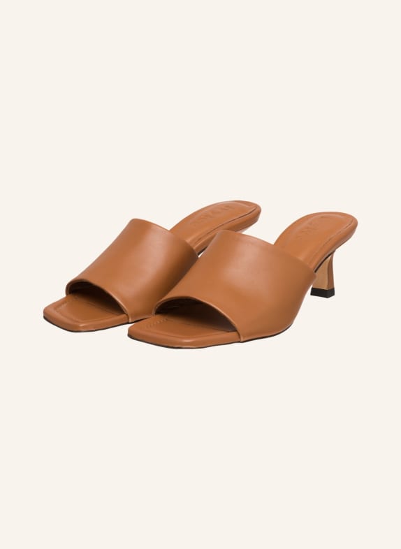 ivylee Mules CLEO