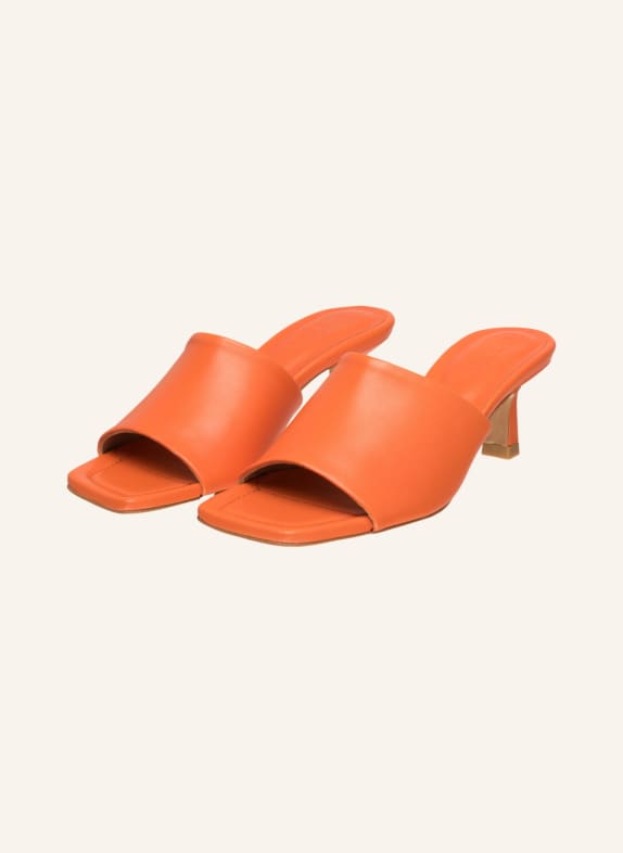 ivylee Mules CLEO