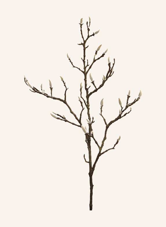 Fink Kunstblume MAGNOLIENKNOSPENZWEIG DUNKELBRAUN