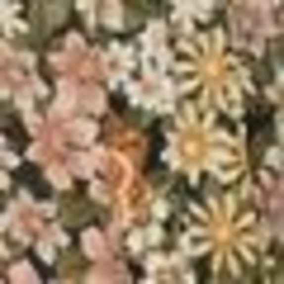 GERARD DAREL Bluse CARINNE ROSA