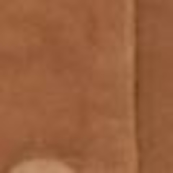 GERARD DAREL Leder TIRYA BRAUN