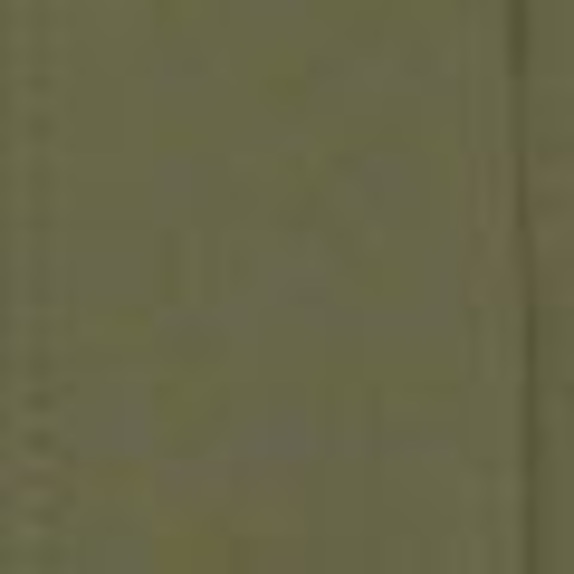 GERARD DAREL Bluse CIRAE GRÜN