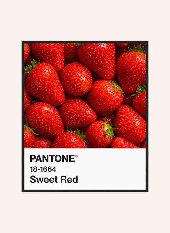 Liv Corday Wandbild FARBE: SWEET RED / ERDBEERROT mit Rahmen SCHWARZ