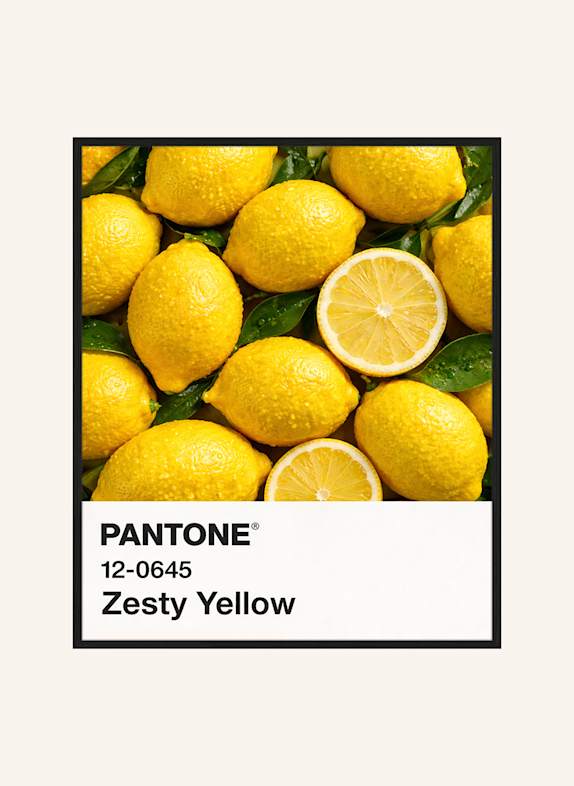 Liv Corday Wandbild FARBE: ZEESTY YELLOW / ZITRONENFRISCH mit Rahmen SCHWARZ