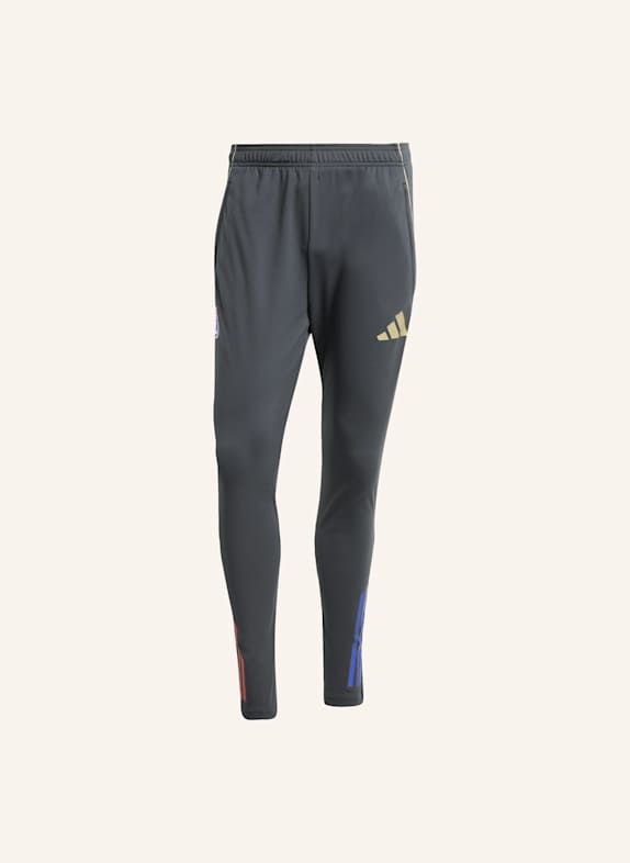 adidas OLYMPIQUE LYON TIRO 25 COMPETITION TRAININGSHOSE GRAU/ BEIGE