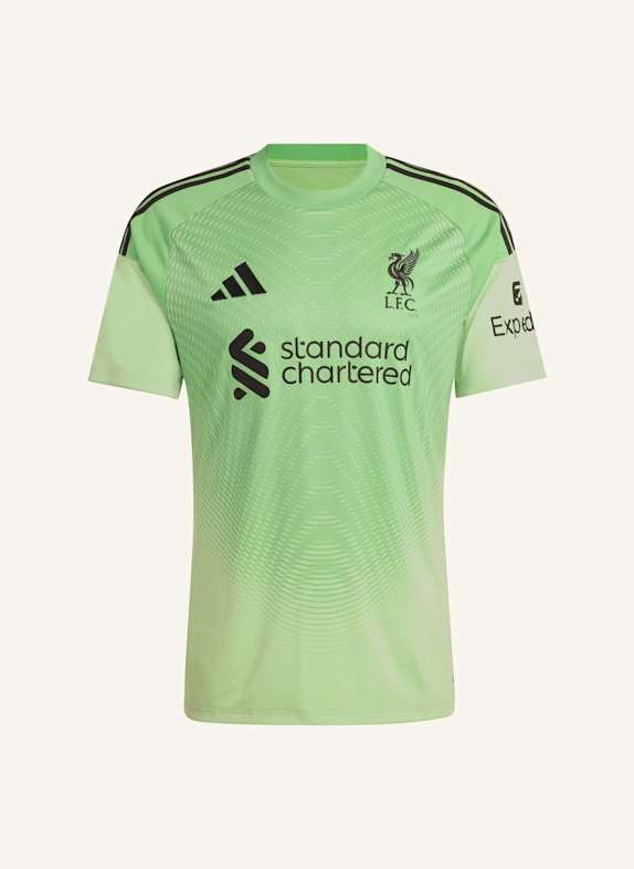 adidas FC LIVERPOOL 25/26 TORWARTTRIKOT GRÜN