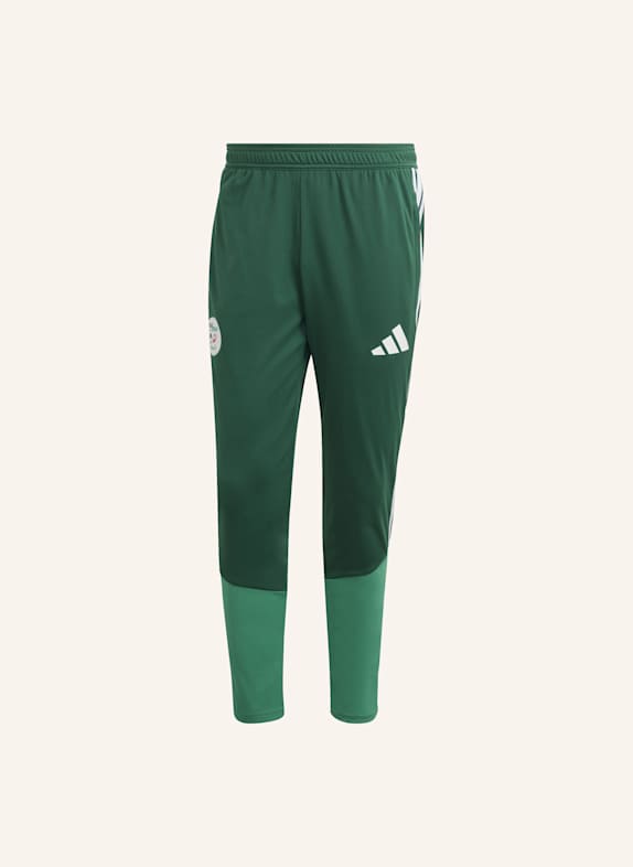 adidas ALGERIEN 26 TRAININGSHOSE GRÜN