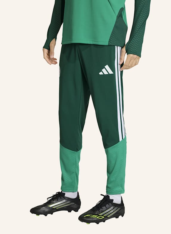 adidas ALGERIEN 26 TRAININGSHOSE GRÜN