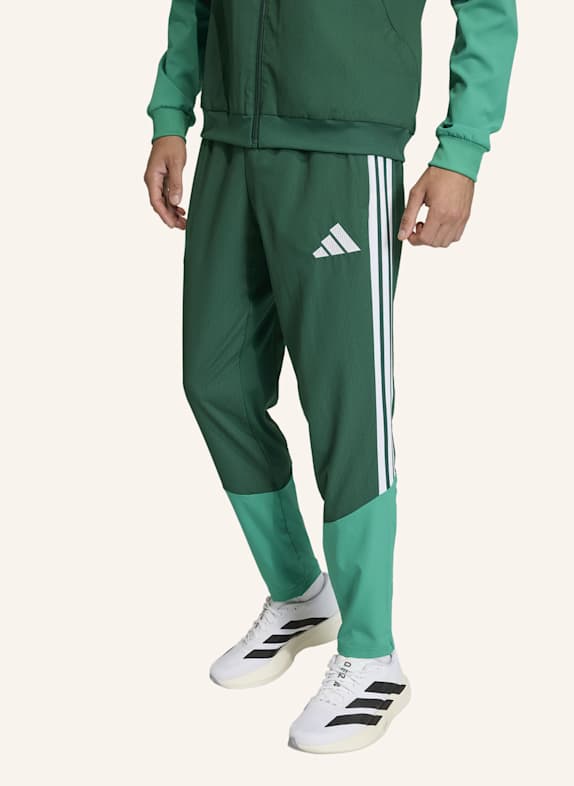 adidas ALGERIEN 26 PRÄSENTATIONSHOSE GRÜN