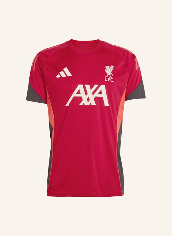 adidas FC LIVERPOOL TIRO 25 COMPETITION TRAININGSTRIKOT ROT