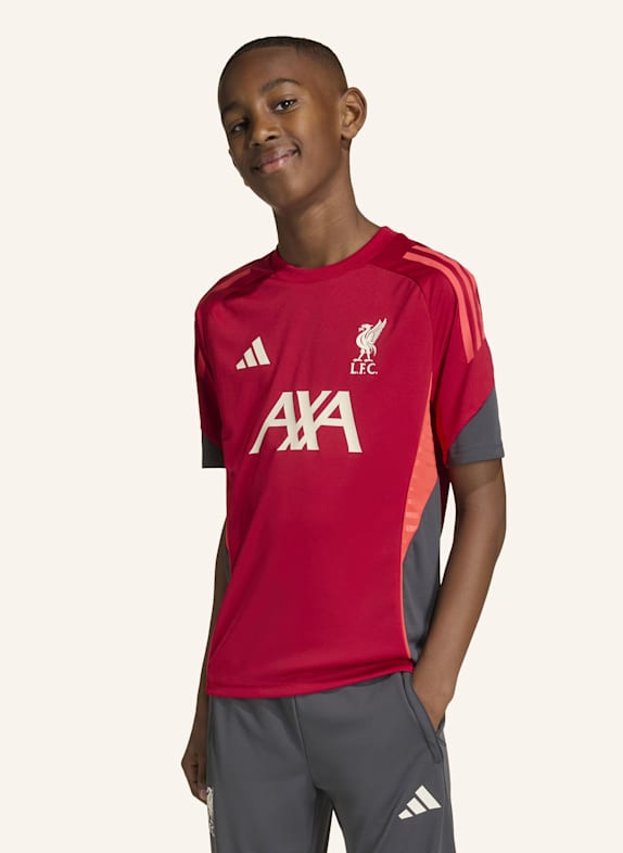 adidas FC LIVERPOOL TIRO 25 COMPETITION KIDS TRAININGSTRIKOT ROT