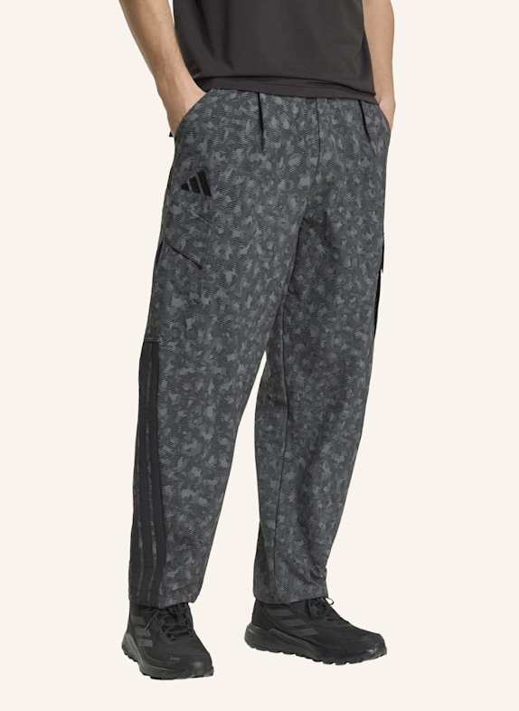 adidas TERREX TERREX XPLORIC CLIMA365 CARGOHOSE GRAU