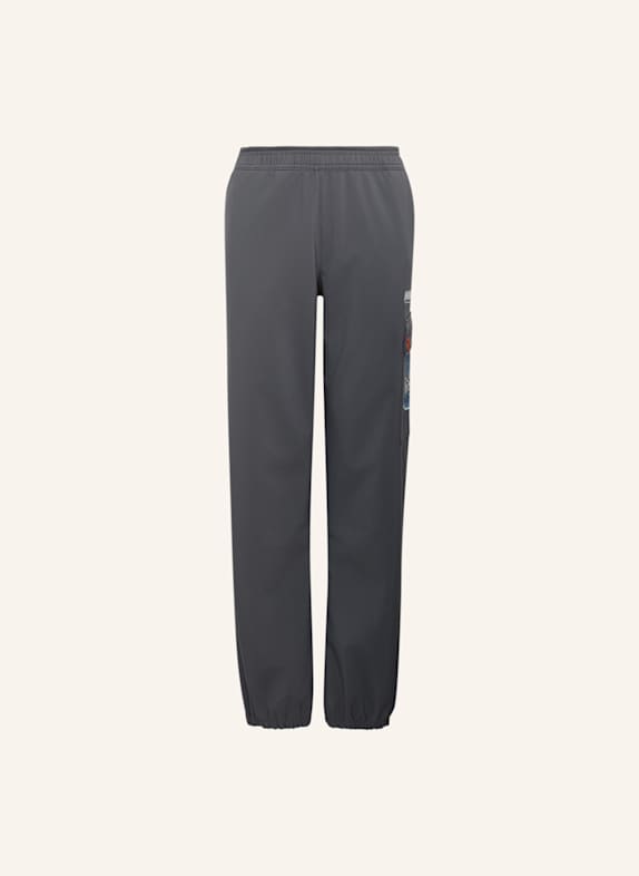adidas TERREX ADIDAS MINECRAFT TERREX CLIMAWARM SOFTSHELL-HOSE GRAU