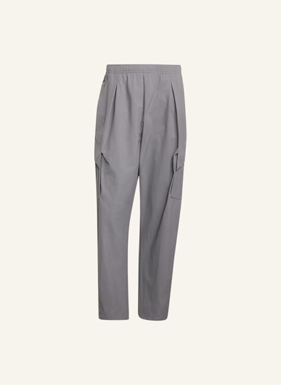 adidas TERREX TERREX XPLORIC CLIMA365 CARGOHOSE GRAU