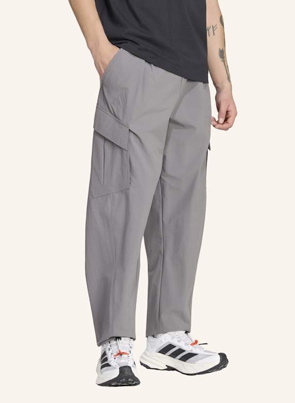 adidas TERREX TERREX XPLORIC CLIMA365 CARGOHOSE GRAU