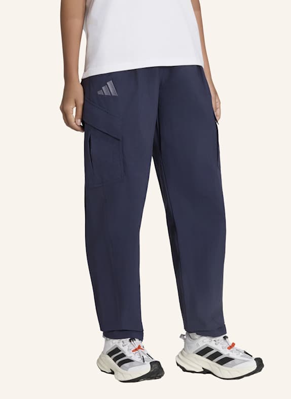 adidas TERREX Trekkinghose TERREX XPLORIC CLIMA 365 BLAU