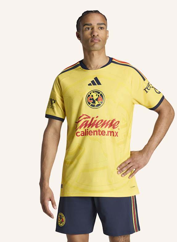 adidas CLUB AMÉRICA 26/27 AUTHENTIC HEIMTRIKOT GELB / BLAU