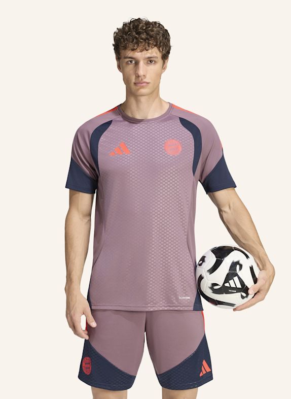 adidas FC BAYERN MÜNCHEN 26/27 CUP TRAININGSTRIKOT BRAUN / BLAU