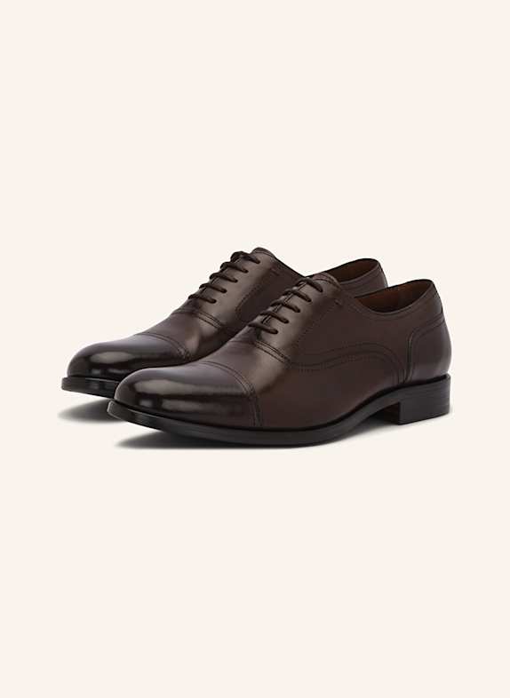 LOTTUSSE Oxford LUTTON DUNKELBRAUN