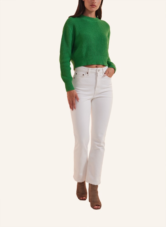 ADLYSH Pullover & Strickjacken DAILY ATTENDAT SWEATER GRÜN