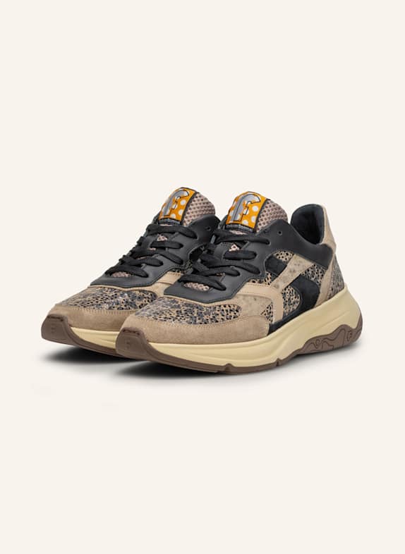 Floris van Bommel Sneaker HOLLI 01 TAUPE