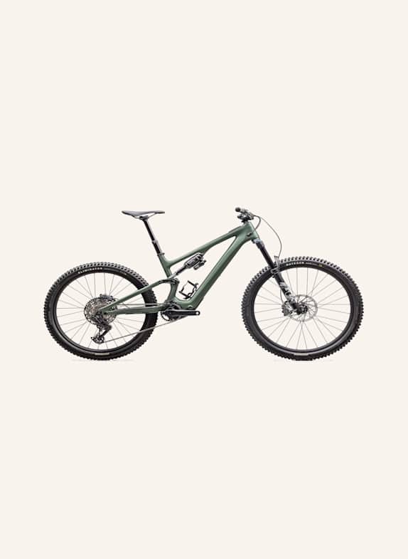 SPECIALIZED E-Mountainbike TURBO LEVO SL2 COMB GRÜN