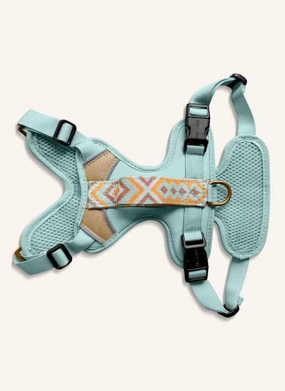 HEY LANA Hundegeschirr TRÈS CHIC MINT/ ORANGE