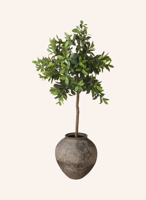 Botané Kunstbaum MONEY TREE