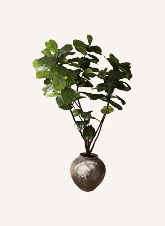 Botané Kunstbaum FIDDLE LEAF FIG 1