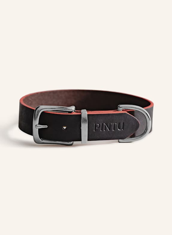 Pintu Hundehalsband MONTE mit Beschlag aus Edelstahl BRAUN/ ORANGE