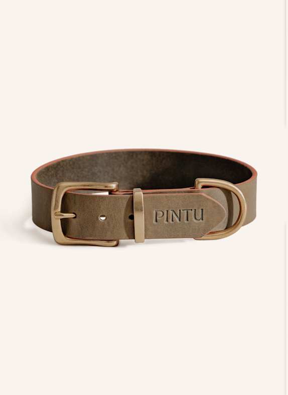 Pintu Hundehalsband MONTE mit Beschlag aus Messing OLIV/ ORANGE
