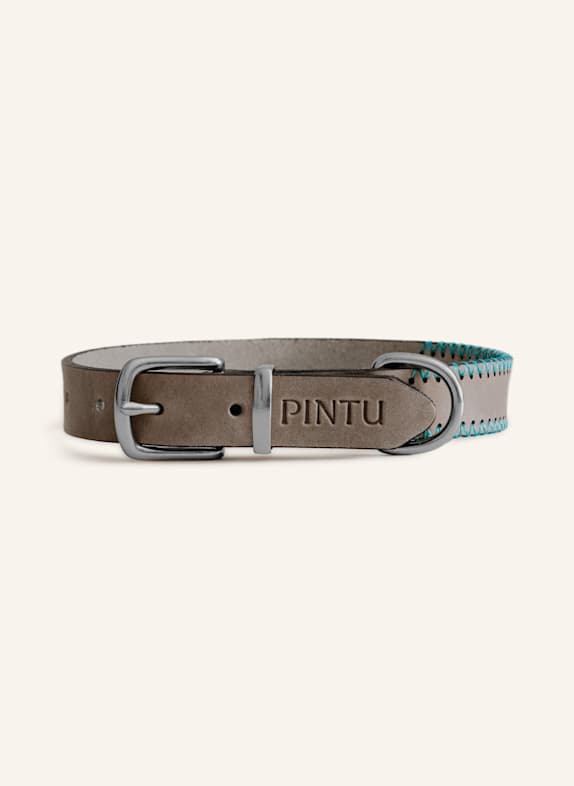 Pintu Hundehalsband PORTHOS mit Beschlag aus Edelstahl GRAU/ TÜRKIS