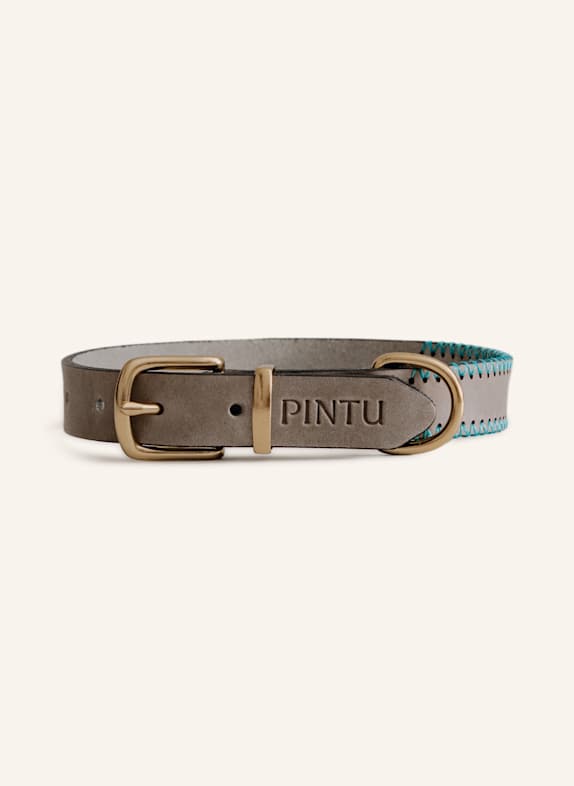 Pintu Hundehalsband PORTHOS mit Beschlag aus Messing GRAU/ TÜRKIS