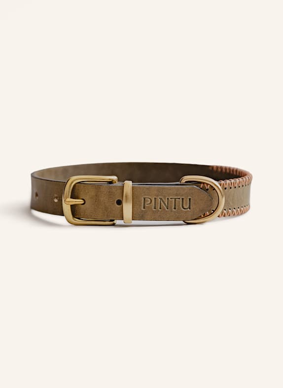 Pintu Hundehalsband PORTHOS mit Beschlag aus Messing OLIV/ ORANGE