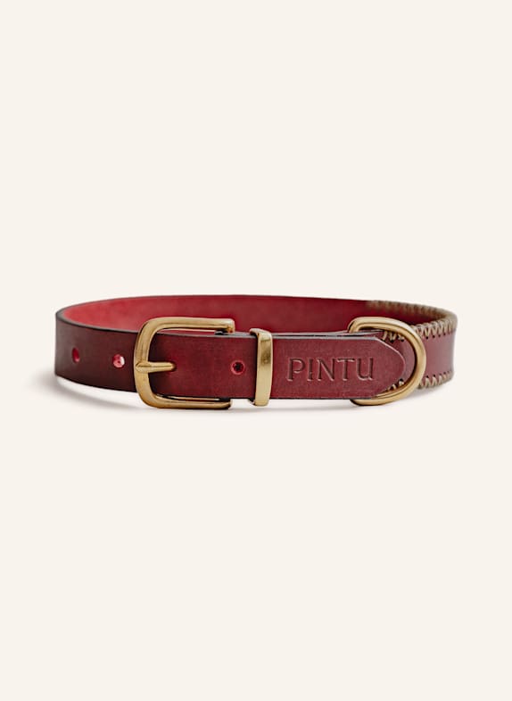 Pintu Hundehalsband PORTHOS mit Beschlag aus Messing ROT/ GOLD